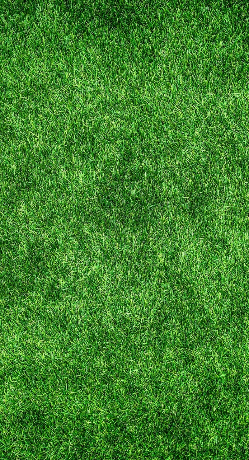 Green Roof