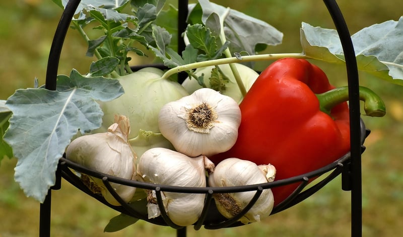Vertical Hydroponics
